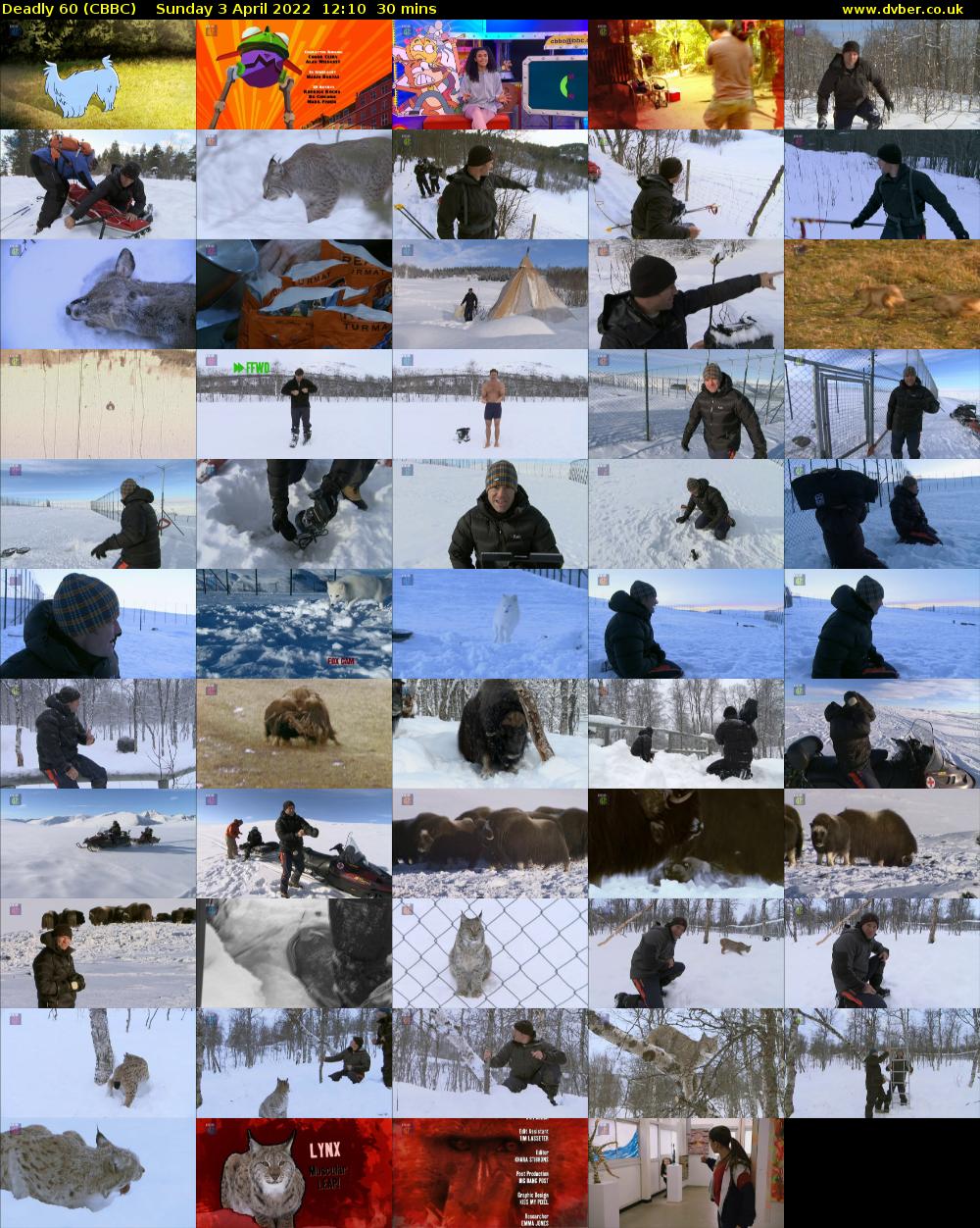 Deadly 60 (CBBC) Sunday 3 April 2022 12:10 - 12:40