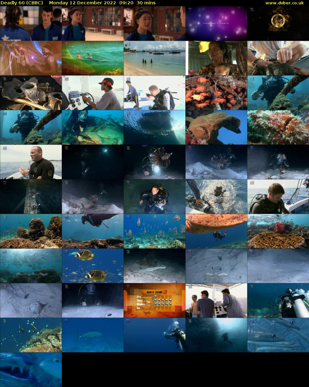 Deadly 60 (CBBC) Monday 12 December 2022 09:20 - 09:50