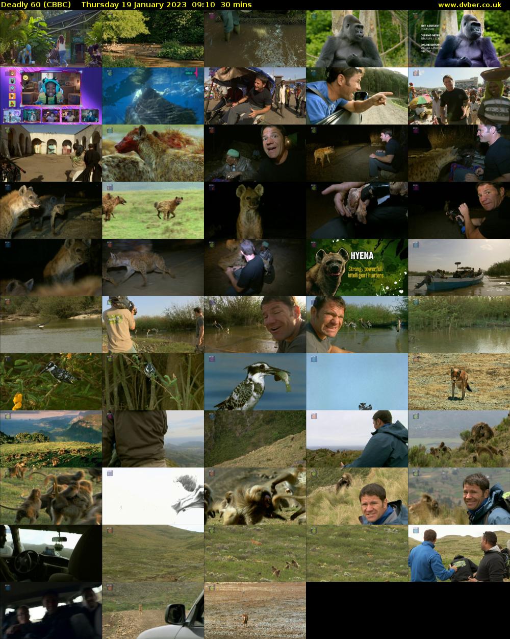 Deadly 60 (CBBC) Thursday 19 January 2023 09:10 - 09:40