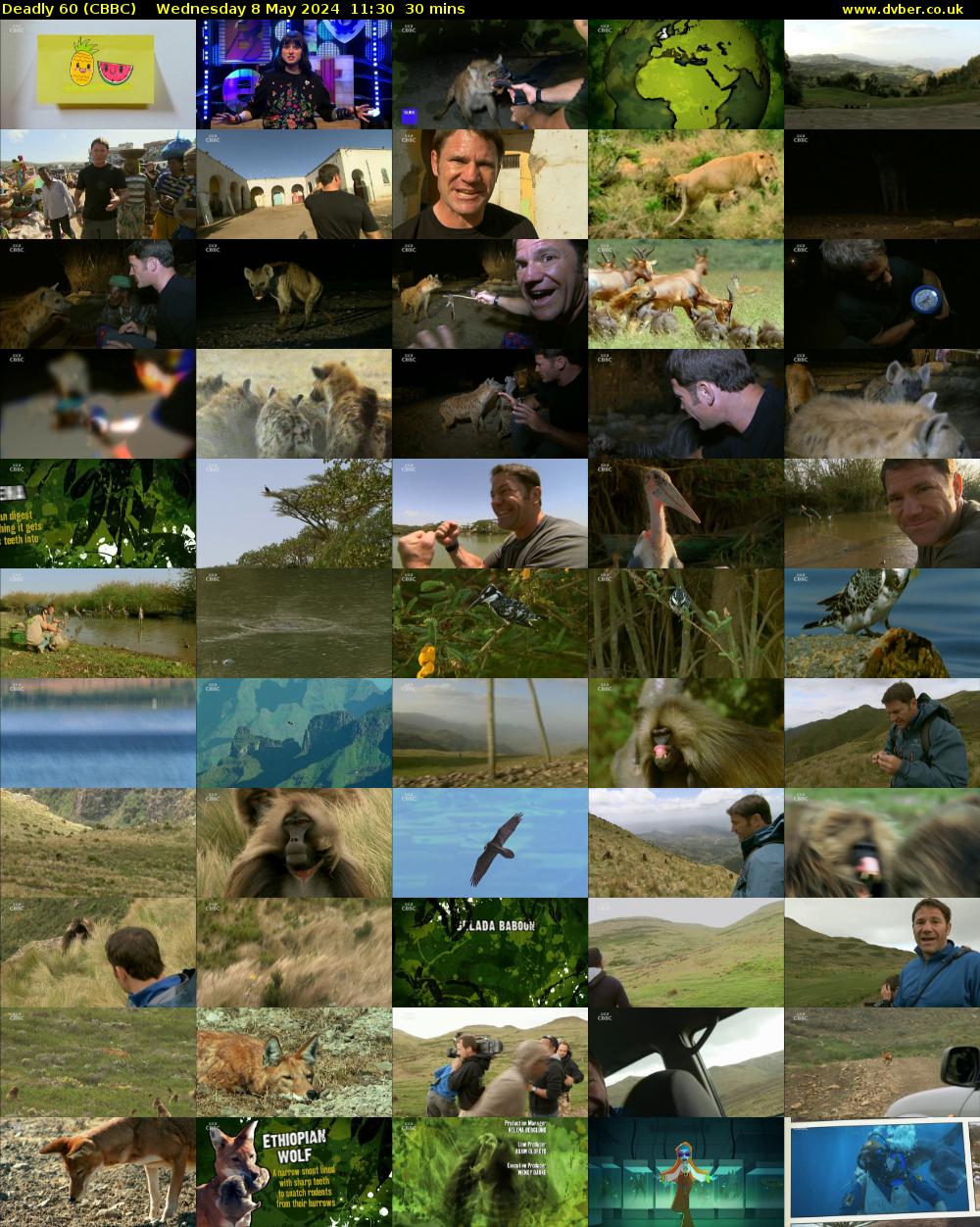 Deadly 60 (CBBC) Wednesday 8 May 2024 11:30 - 12:00