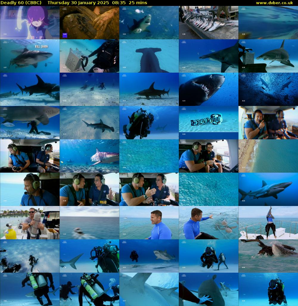 Deadly 60 (CBBC) Thursday 30 January 2025 08:35 - 09:00