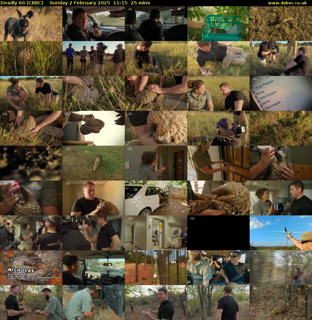 Deadly 60 (CBBC) Sunday 2 February 2025 11:15 - 11:40