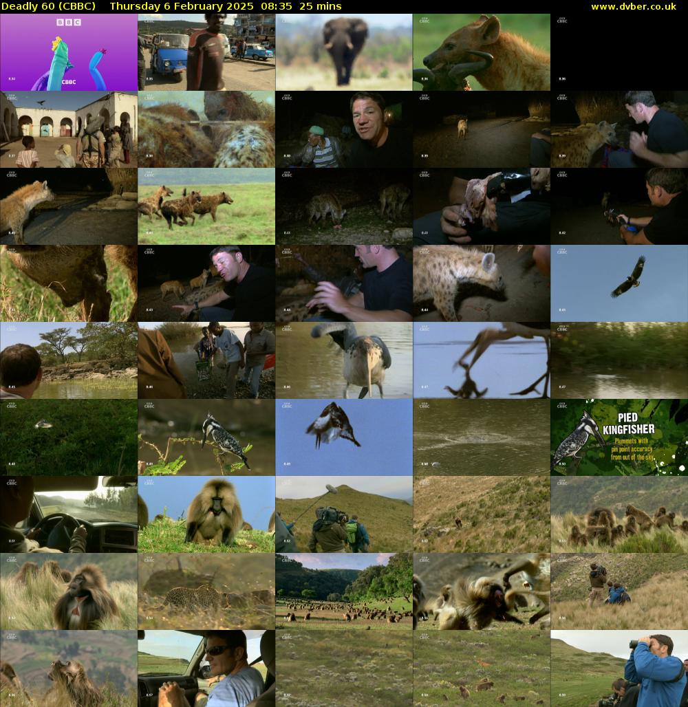 Deadly 60 (CBBC) Thursday 6 February 2025 08:35 - 09:00