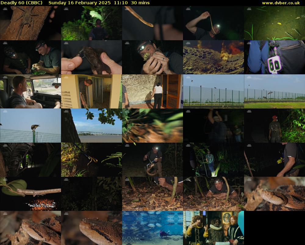 Deadly 60 (CBBC) Sunday 16 February 2025 11:10 - 11:40