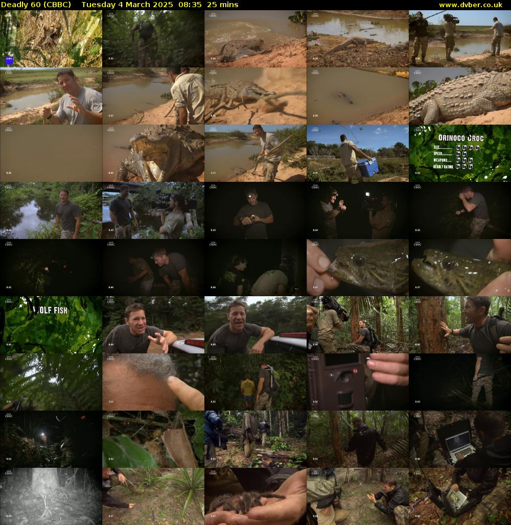 Deadly 60 (CBBC) Tuesday 4 March 2025 08:35 - 09:00