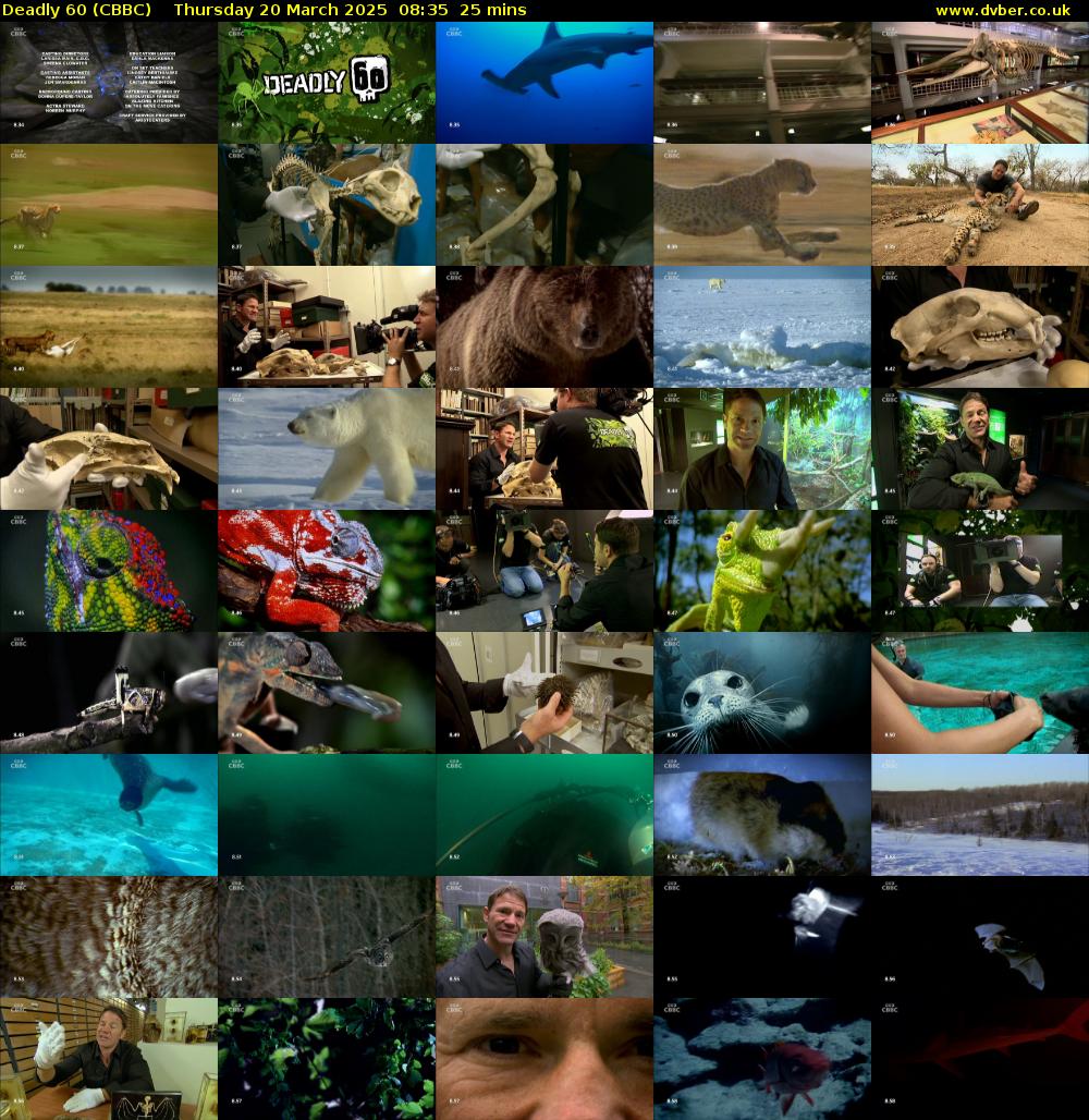 Deadly 60 (CBBC) Thursday 20 March 2025 08:35 - 09:00