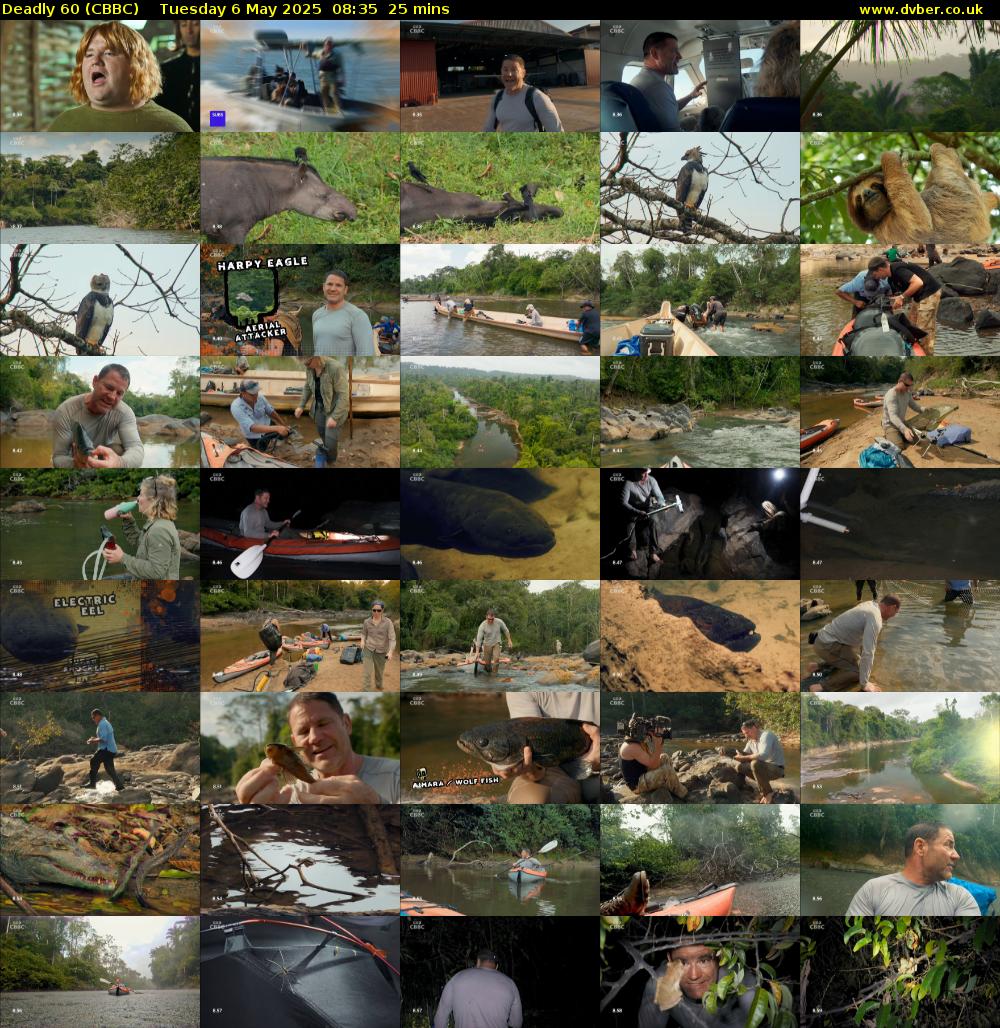 Deadly 60 (CBBC) Tuesday 6 May 2025 08:35 - 09:00