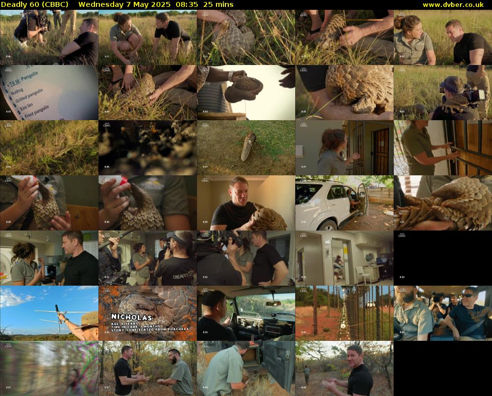 Deadly 60 (CBBC) Wednesday 7 May 2025 08:35 - 09:00