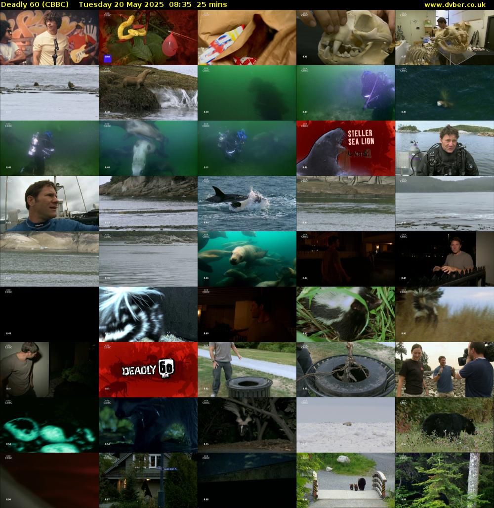 Deadly 60 (CBBC) Tuesday 20 May 2025 08:35 - 09:00