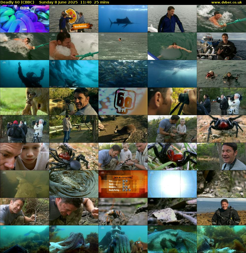 Deadly 60 (CBBC) Sunday 8 June 2025 11:40 - 12:05