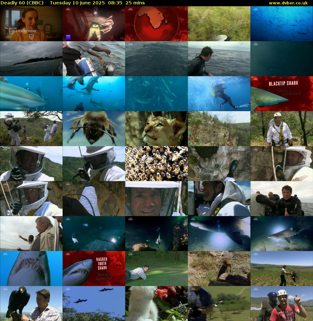 Deadly 60 (CBBC) Tuesday 10 June 2025 08:35 - 09:00