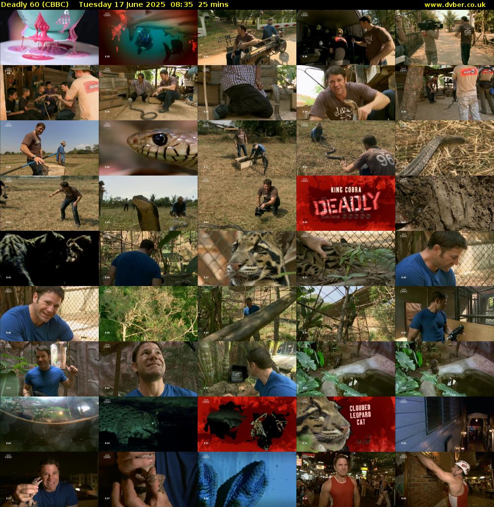 Deadly 60 (CBBC) Tuesday 17 June 2025 08:35 - 09:00
