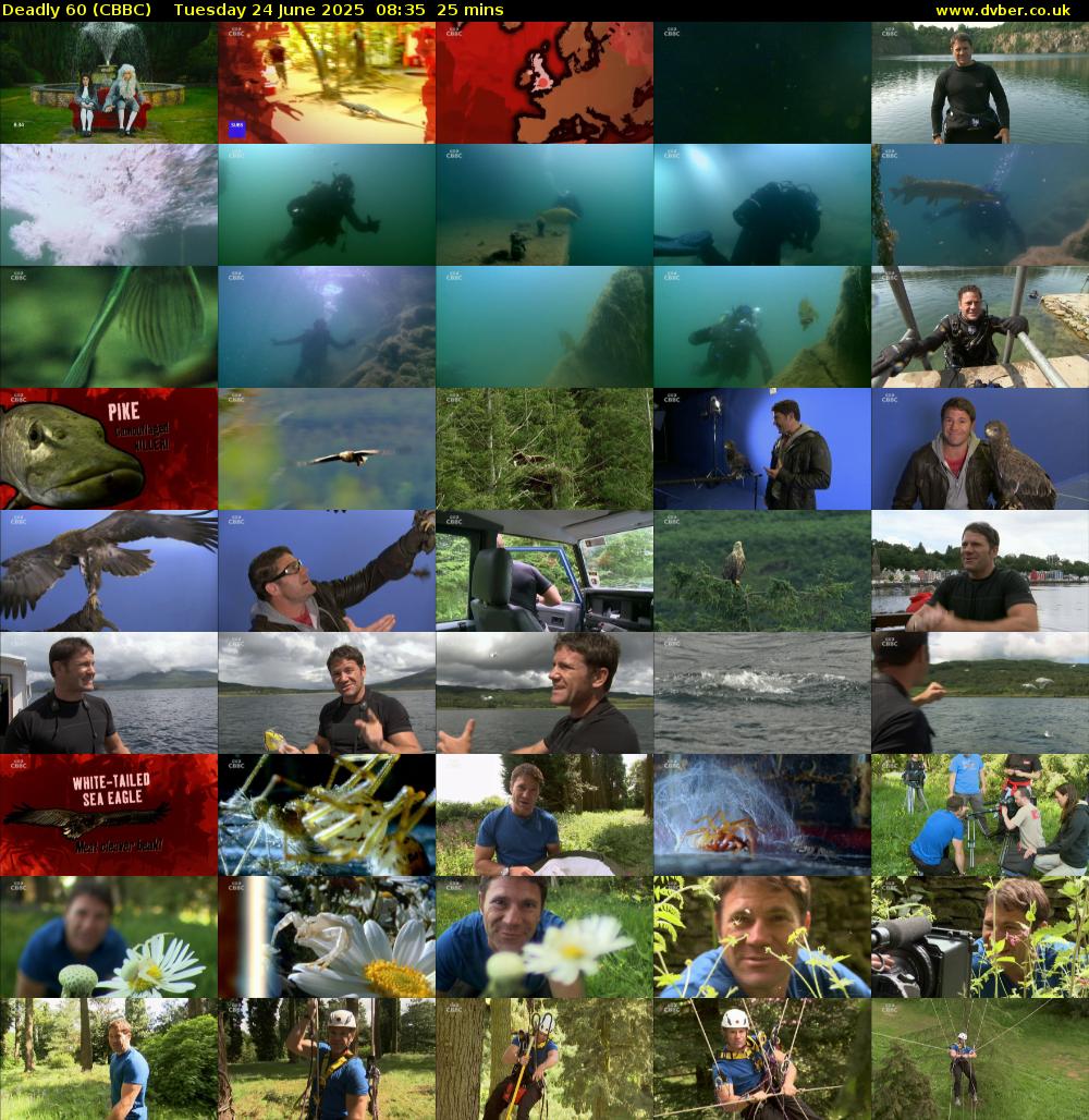 Deadly 60 (CBBC) Tuesday 24 June 2025 08:35 - 09:00