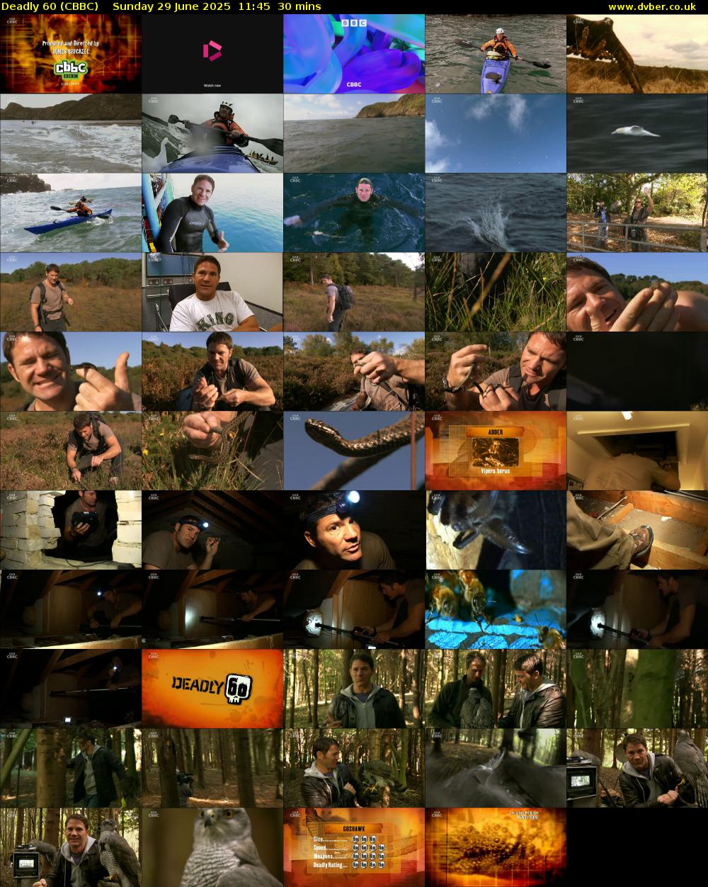 Deadly 60 (CBBC) Sunday 29 June 2025 11:45 - 12:15