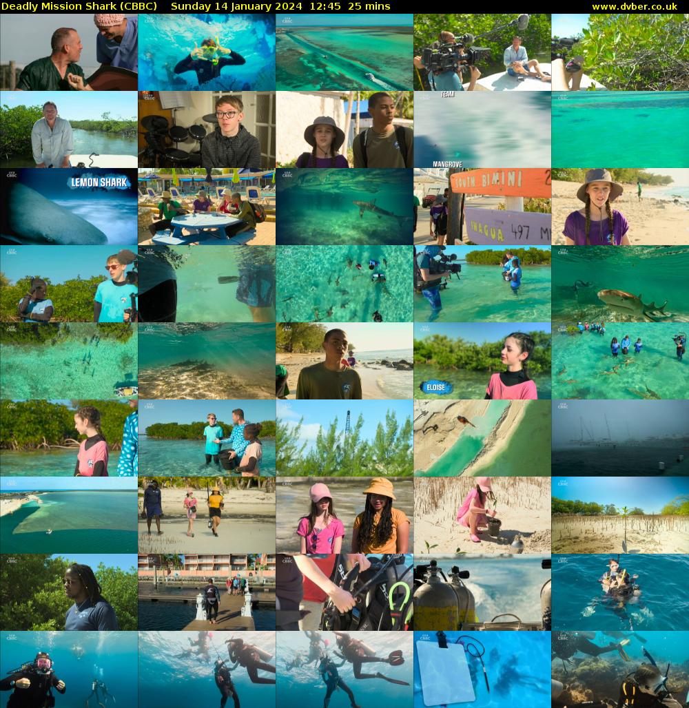 Deadly Mission Shark (CBBC) Sunday 14 January 2024 12:45 - 13:10