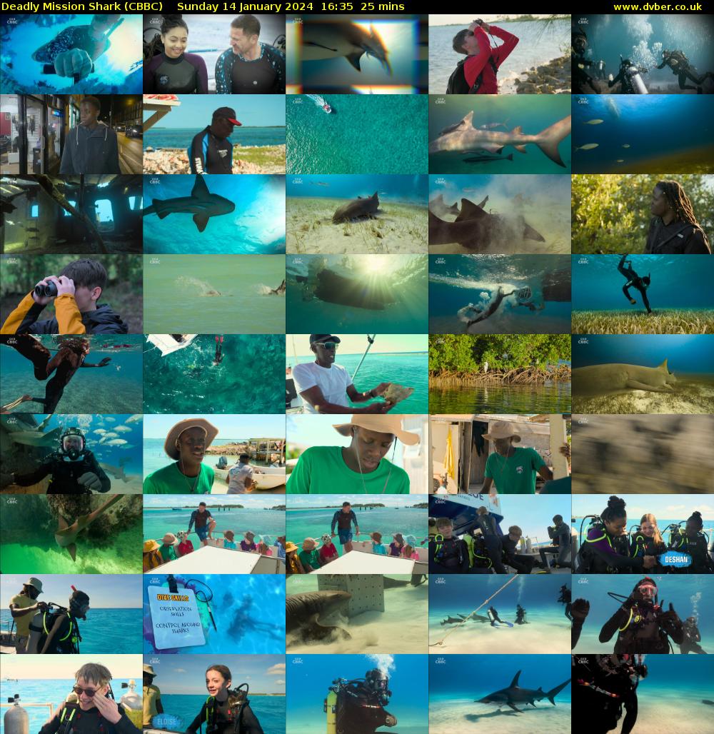 Deadly Mission Shark (CBBC) Sunday 14 January 2024 16:35 - 17:00