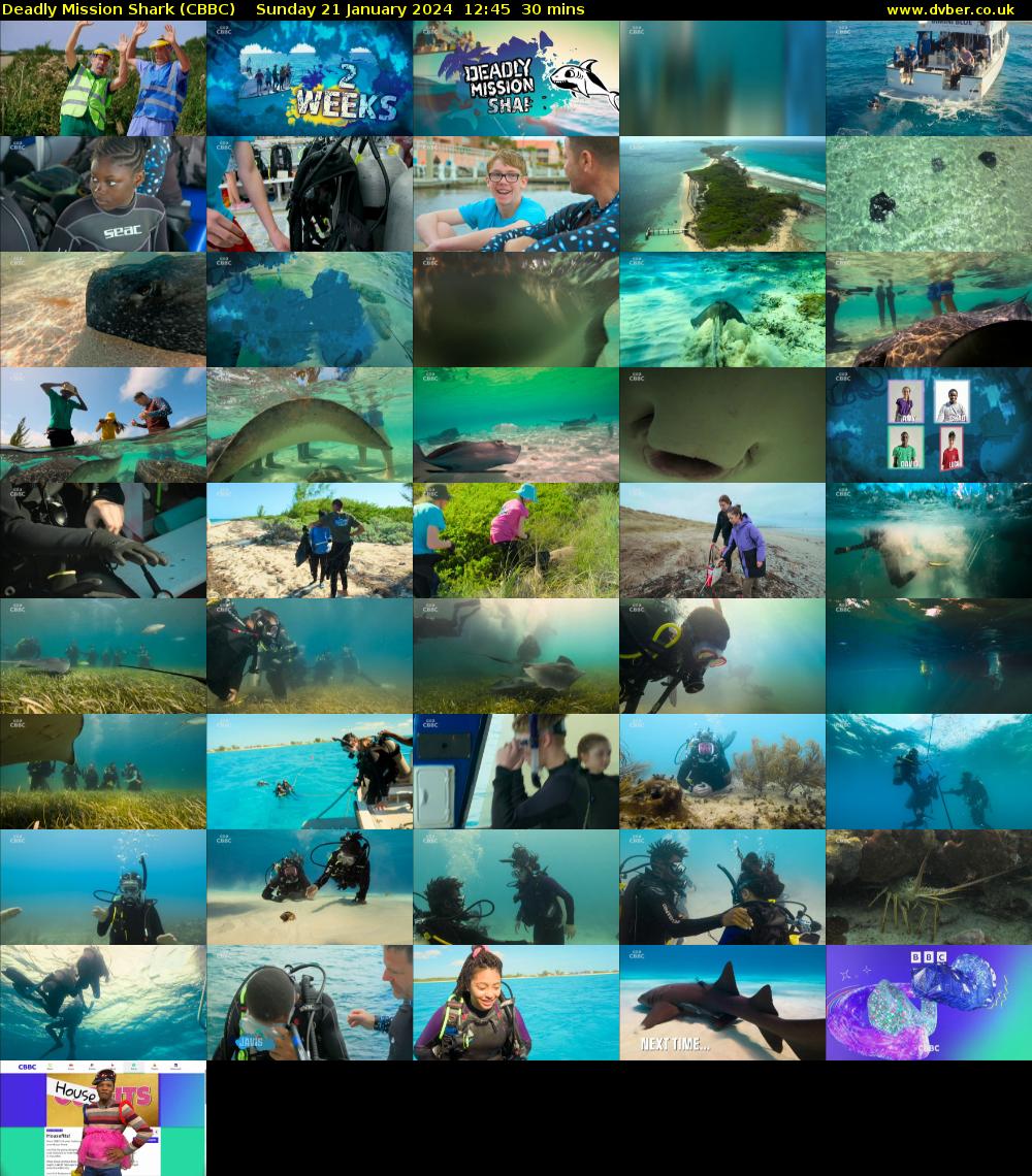 Deadly Mission Shark (CBBC) Sunday 21 January 2024 12:45 - 13:15