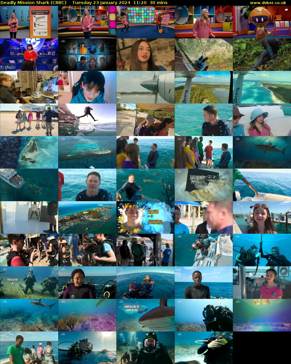 Deadly Mission Shark (CBBC) Tuesday 23 January 2024 11:20 - 11:50