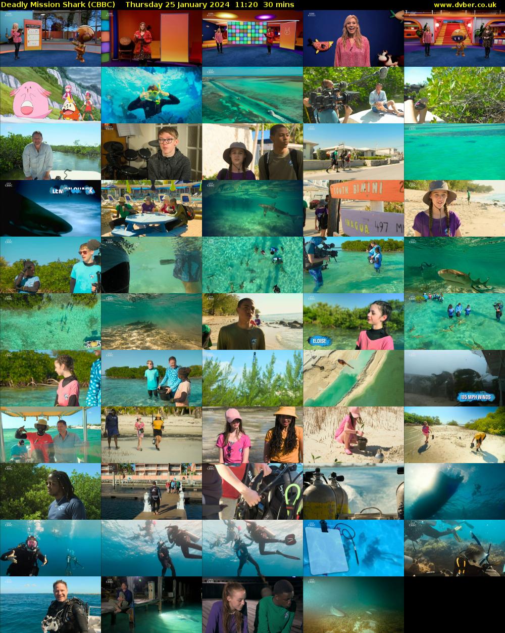 Deadly Mission Shark (CBBC) Thursday 25 January 2024 11:20 - 11:50