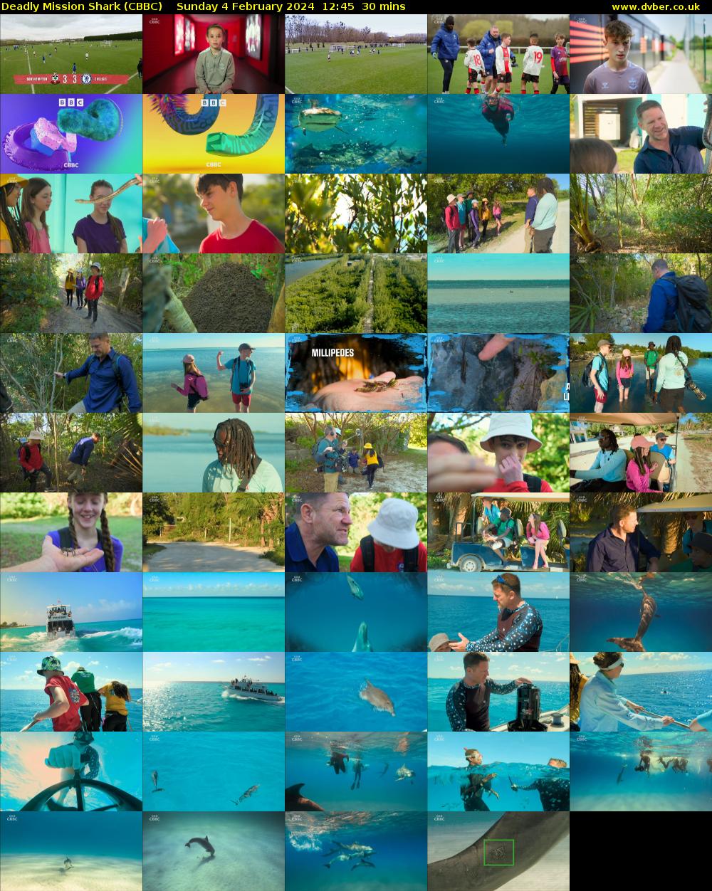 Deadly Mission Shark (CBBC) Sunday 4 February 2024 12:45 - 13:15