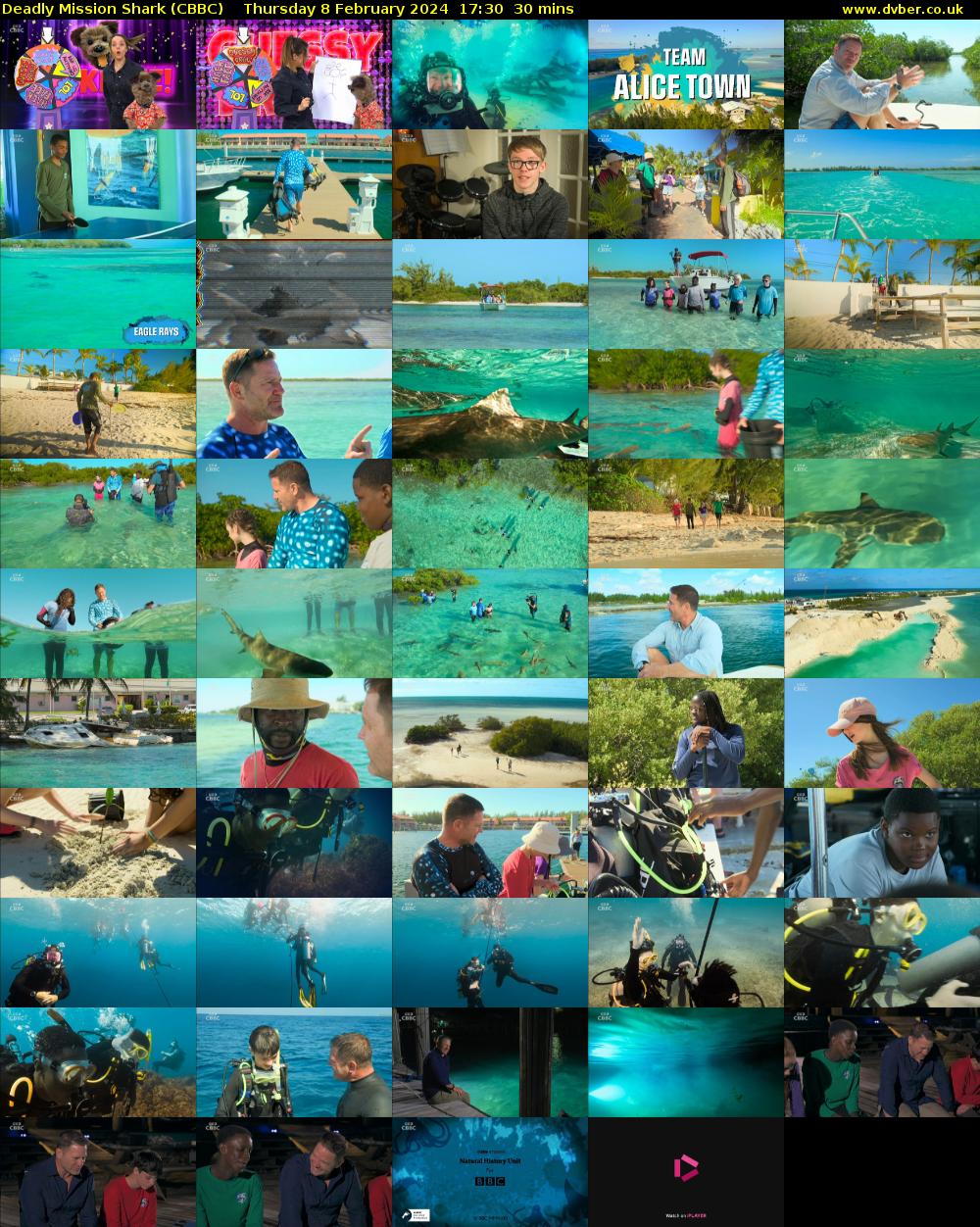 Deadly Mission Shark (CBBC) Thursday 8 February 2024 17:30 - 18:00