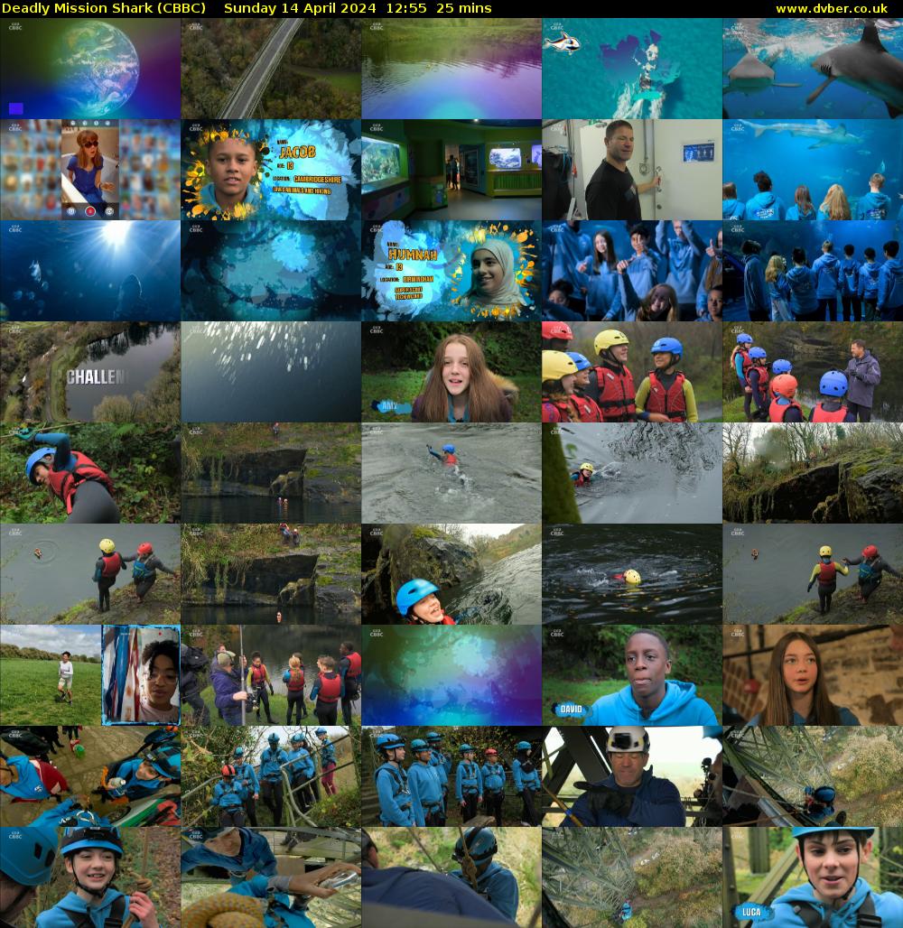 Deadly Mission Shark (CBBC) Sunday 14 April 2024 12:55 - 13:20