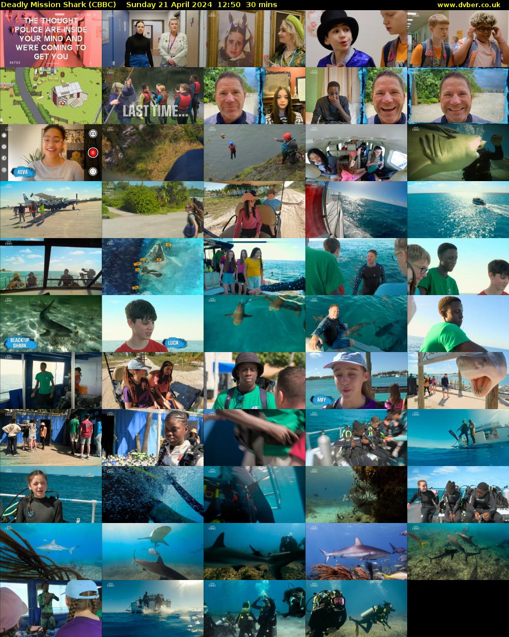 Deadly Mission Shark (CBBC) Sunday 21 April 2024 12:50 - 13:20
