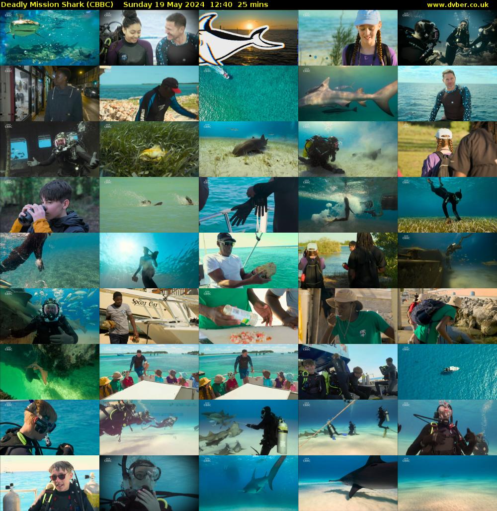 Deadly Mission Shark (CBBC) Sunday 19 May 2024 12:40 - 13:05