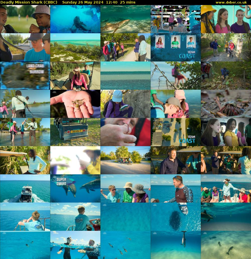 Deadly Mission Shark (CBBC) Sunday 26 May 2024 12:40 - 13:05