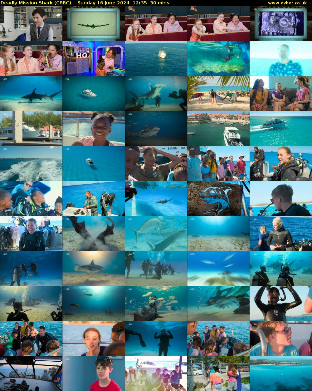 Deadly Mission Shark (CBBC) Sunday 16 June 2024 12:35 - 13:05