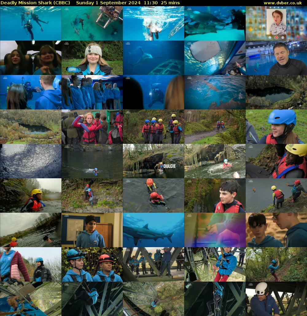 Deadly Mission Shark (CBBC) Sunday 1 September 2024 11:30 - 11:55