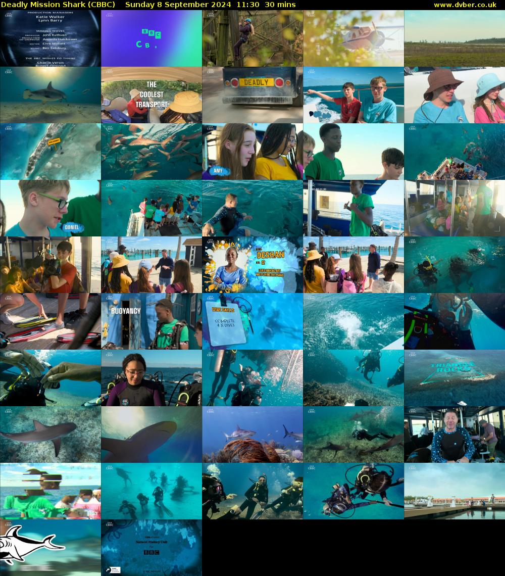 Deadly Mission Shark (CBBC) Sunday 8 September 2024 11:30 - 12:00