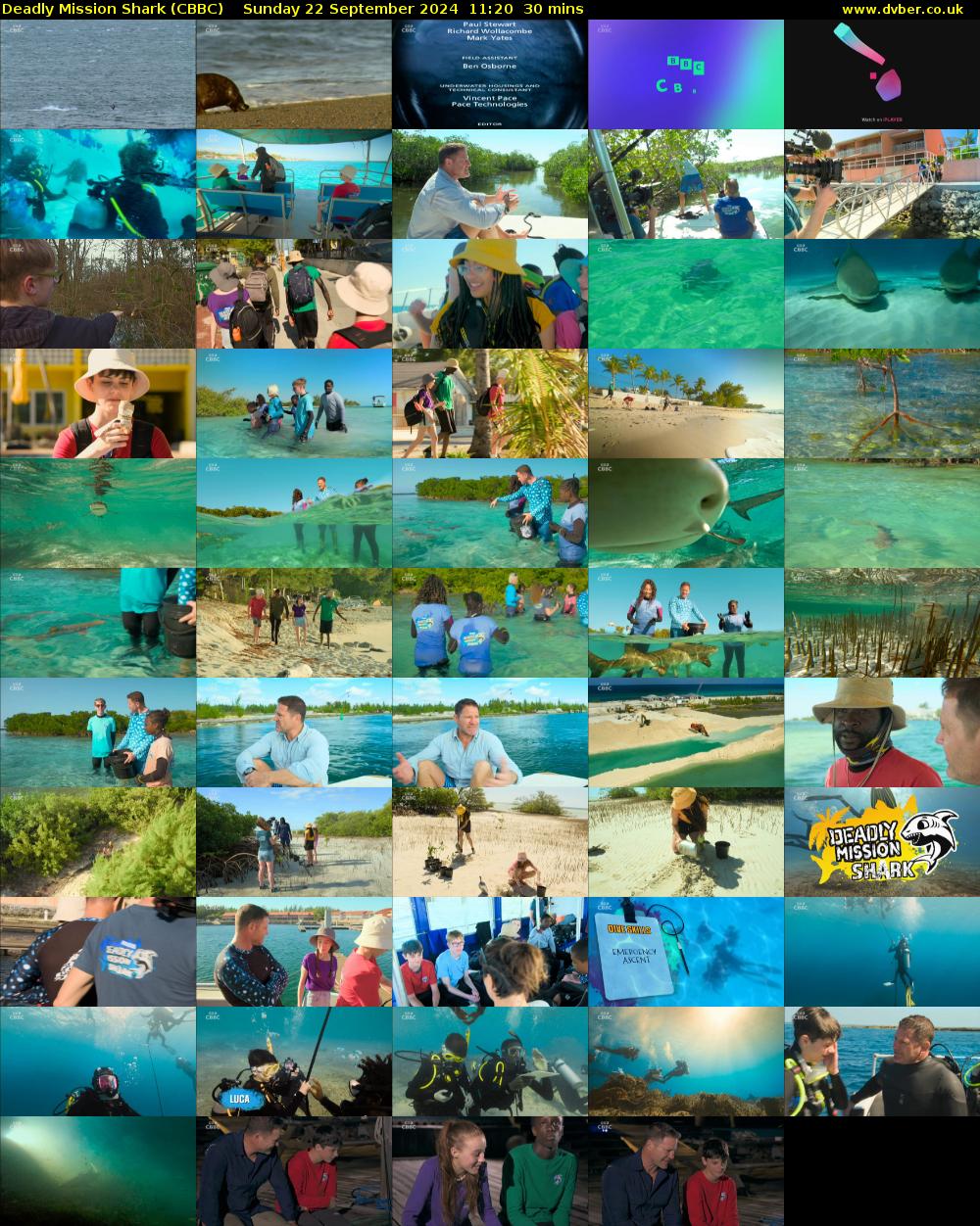 Deadly Mission Shark (CBBC) Sunday 22 September 2024 11:20 - 11:50