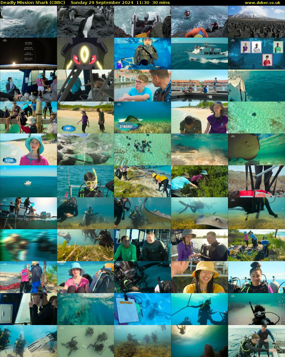 Deadly Mission Shark (CBBC) Sunday 29 September 2024 11:30 - 12:00