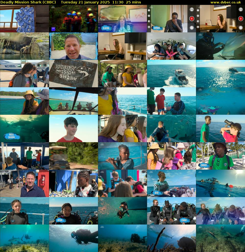 Deadly Mission Shark (CBBC) Tuesday 21 January 2025 11:30 - 11:55