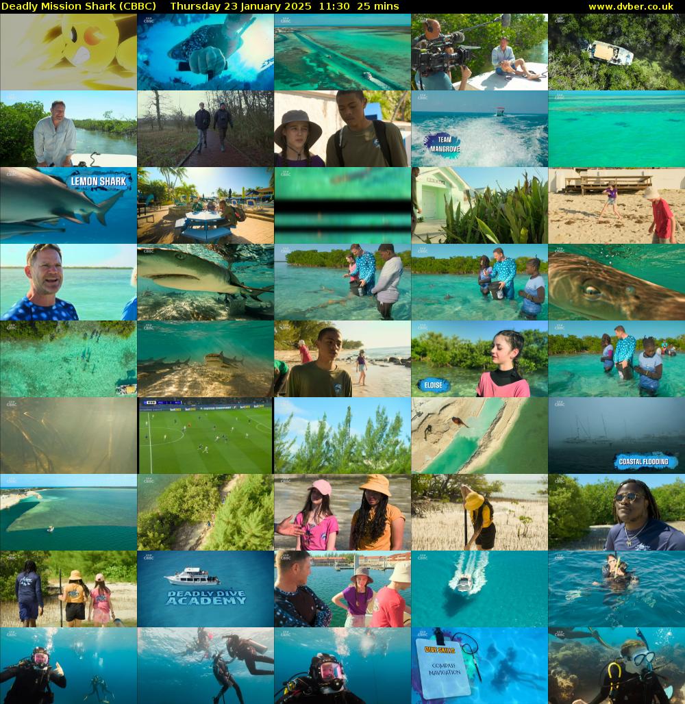 Deadly Mission Shark (CBBC) Thursday 23 January 2025 11:30 - 11:55