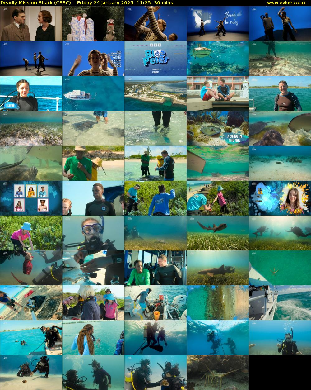 Deadly Mission Shark (CBBC) Friday 24 January 2025 11:25 - 11:55