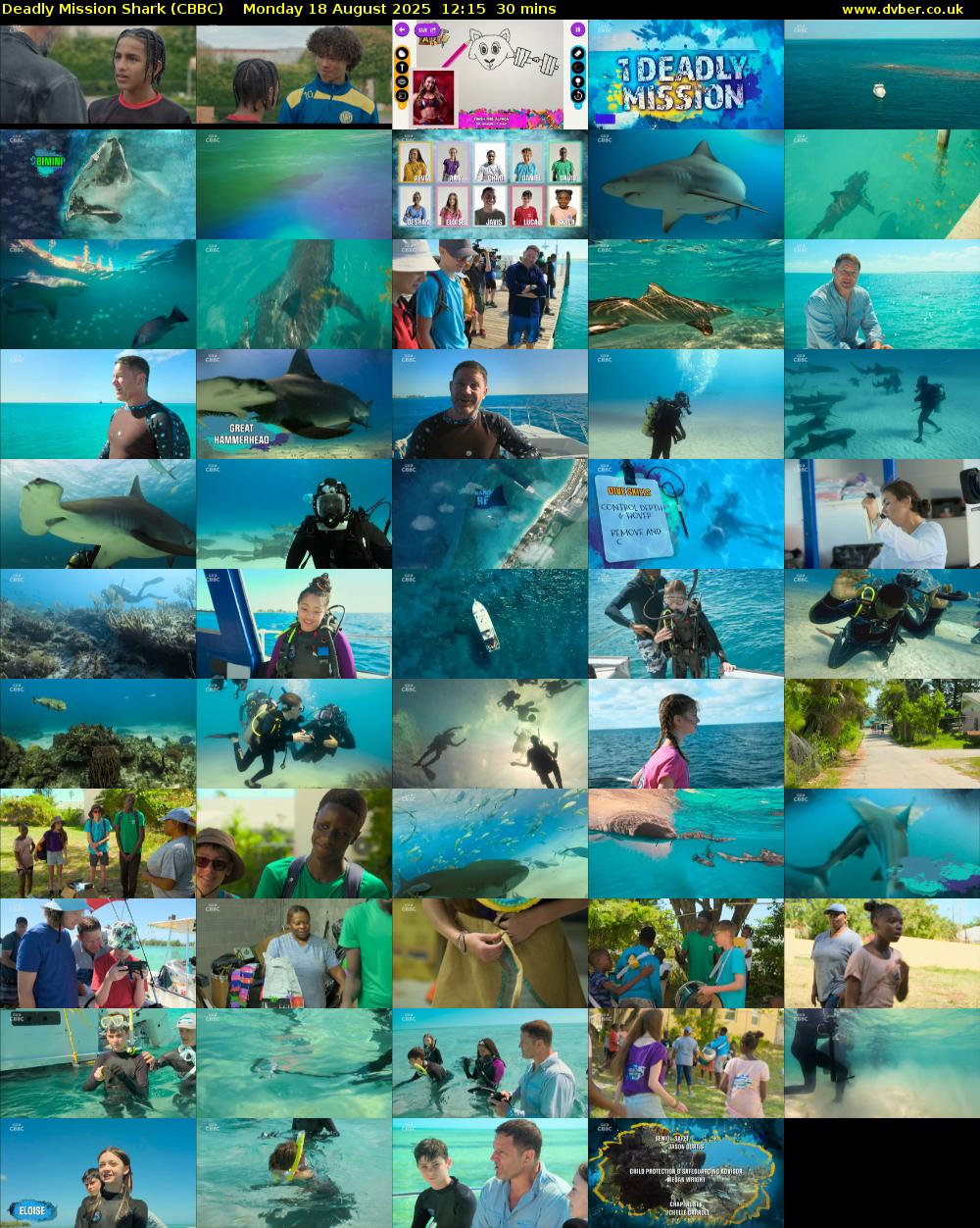Deadly Mission Shark (CBBC) Monday 18 August 2025 12:15 - 12:45