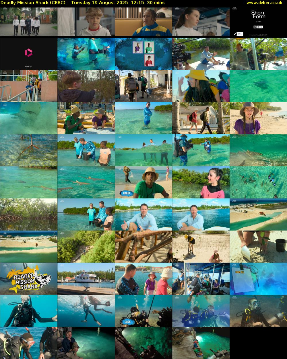 Deadly Mission Shark (CBBC) Tuesday 19 August 2025 12:15 - 12:45