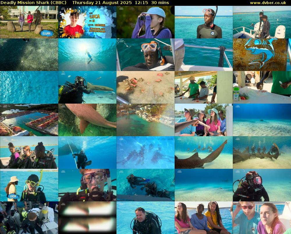 Deadly Mission Shark (CBBC) Thursday 21 August 2025 12:15 - 12:45