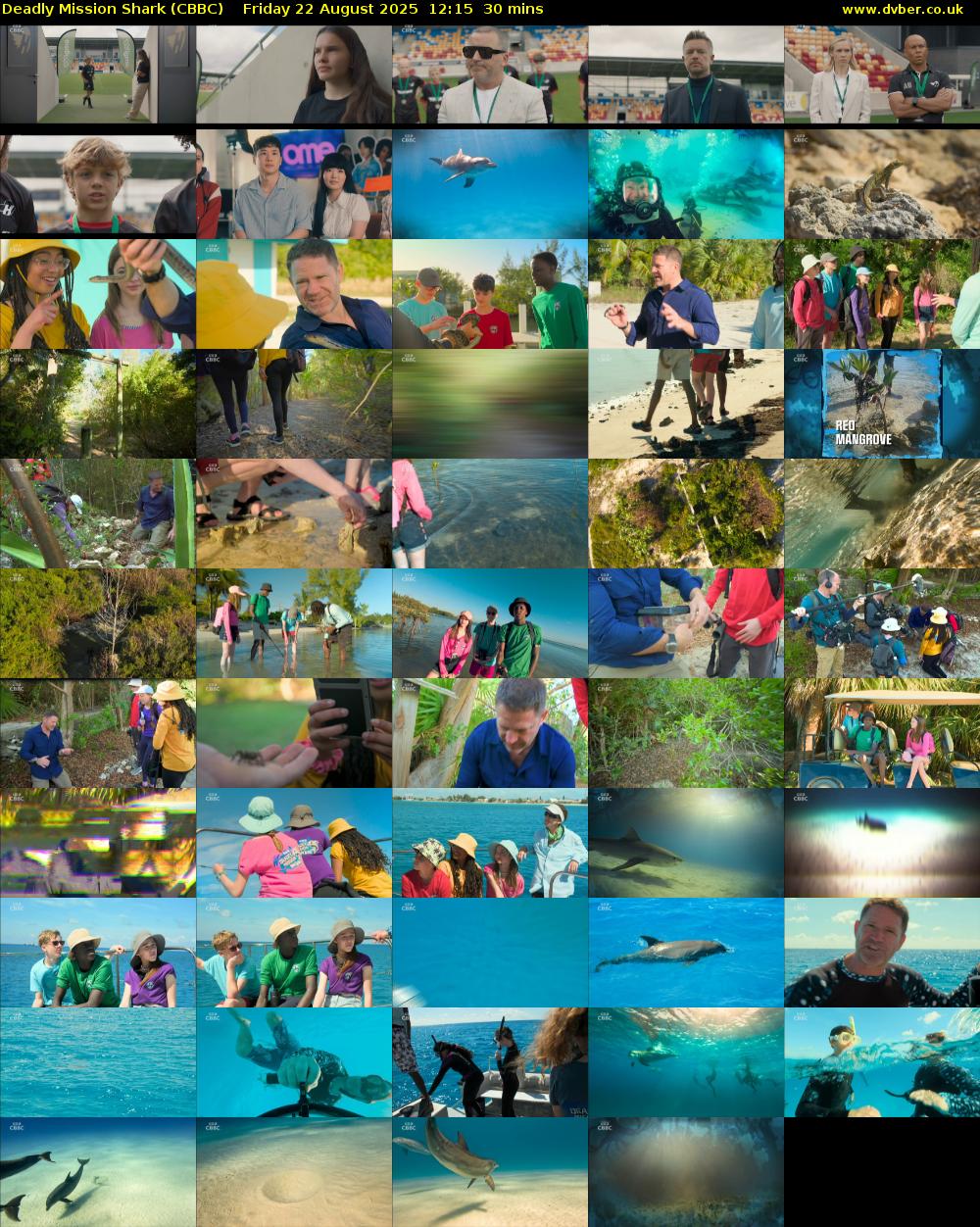 Deadly Mission Shark (CBBC) Friday 22 August 2025 12:15 - 12:45