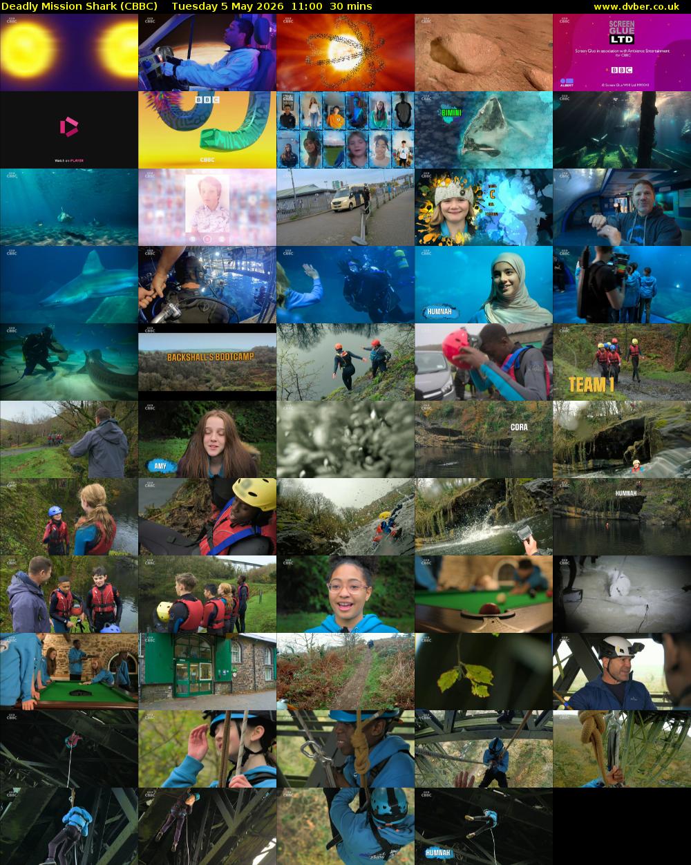 Deadly Mission Shark (CBBC) Tuesday 5 May 2026 11:00 - 11:30