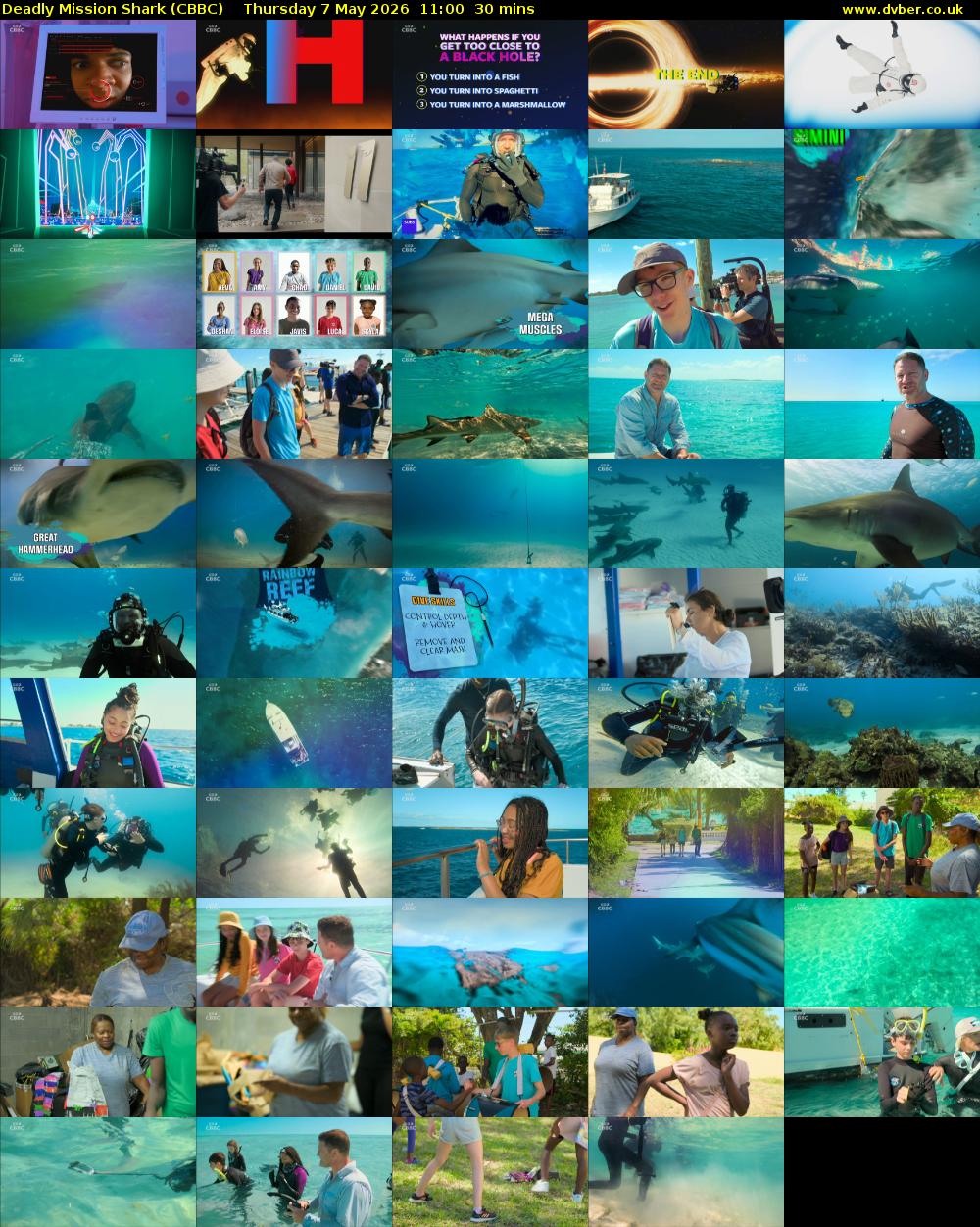 Deadly Mission Shark (CBBC) Thursday 7 May 2026 11:00 - 11:30