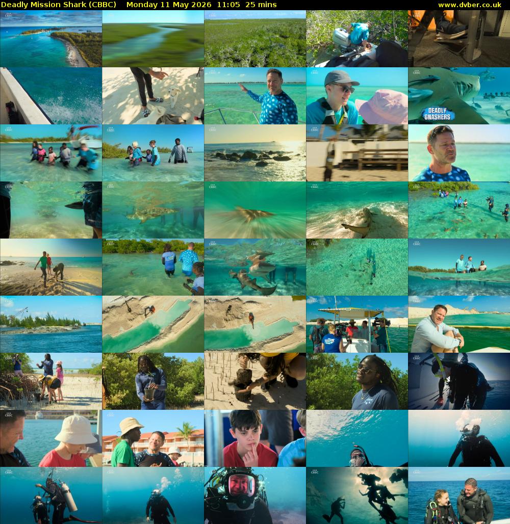 Deadly Mission Shark (CBBC) Monday 11 May 2026 11:05 - 11:30