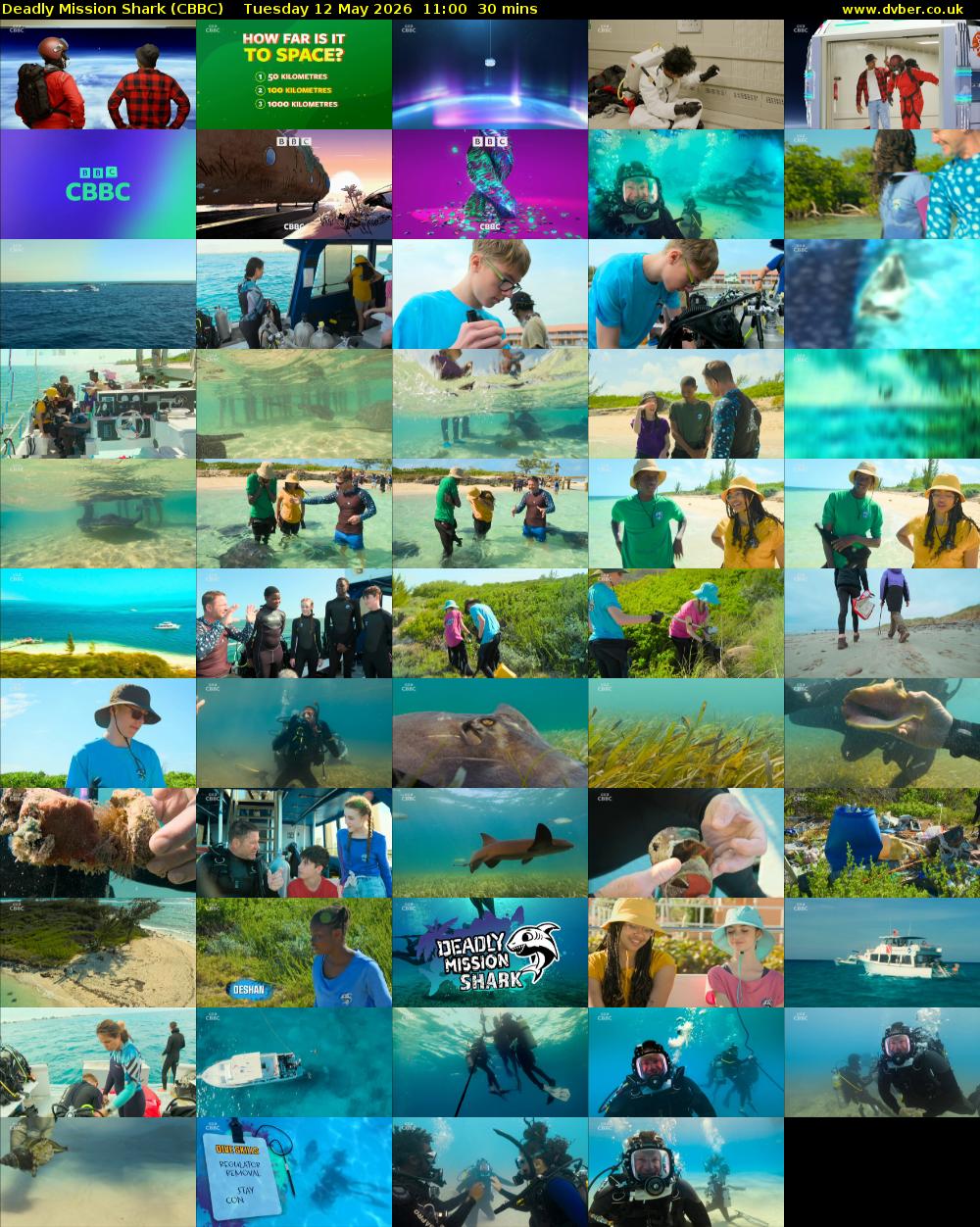 Deadly Mission Shark (CBBC) Tuesday 12 May 2026 11:00 - 11:30