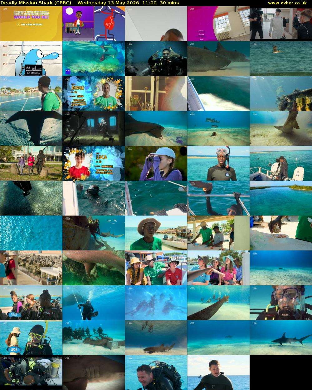 Deadly Mission Shark (CBBC) Wednesday 13 May 2026 11:00 - 11:30