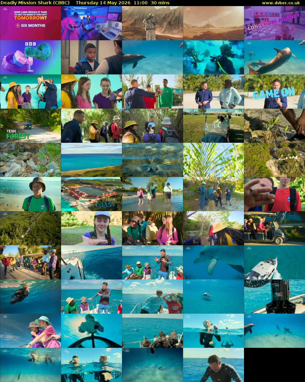 Deadly Mission Shark (CBBC) Thursday 14 May 2026 11:00 - 11:30