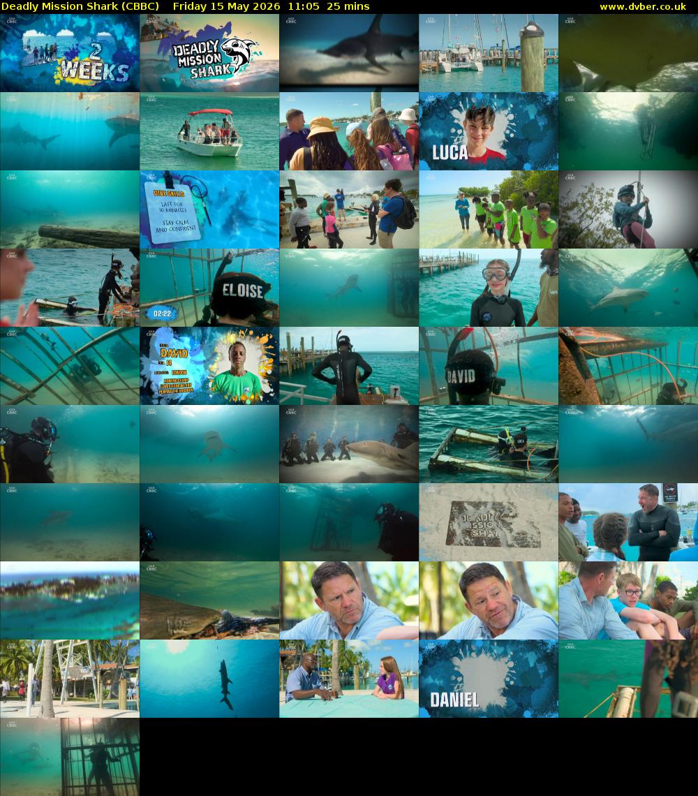 Deadly Mission Shark (CBBC) Friday 15 May 2026 11:05 - 11:30