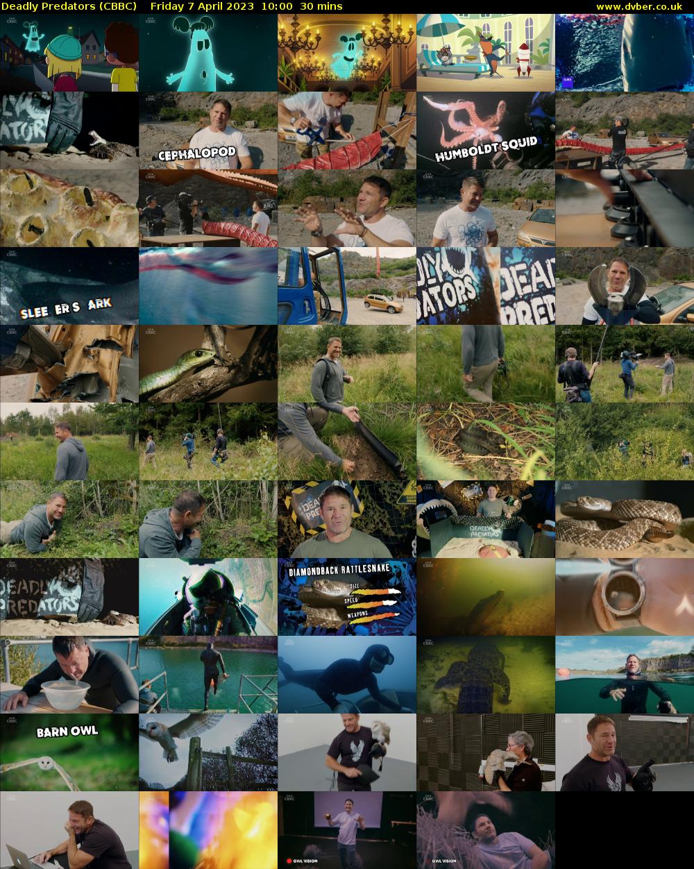Deadly Predators (CBBC) Friday 7 April 2023 10:00 - 10:30