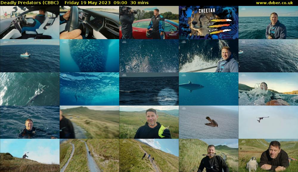 Deadly Predators (CBBC) Friday 19 May 2023 09:00 - 09:30